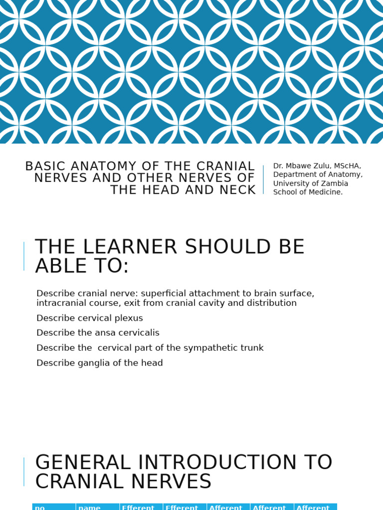Nerves of Head and Neck | PDF