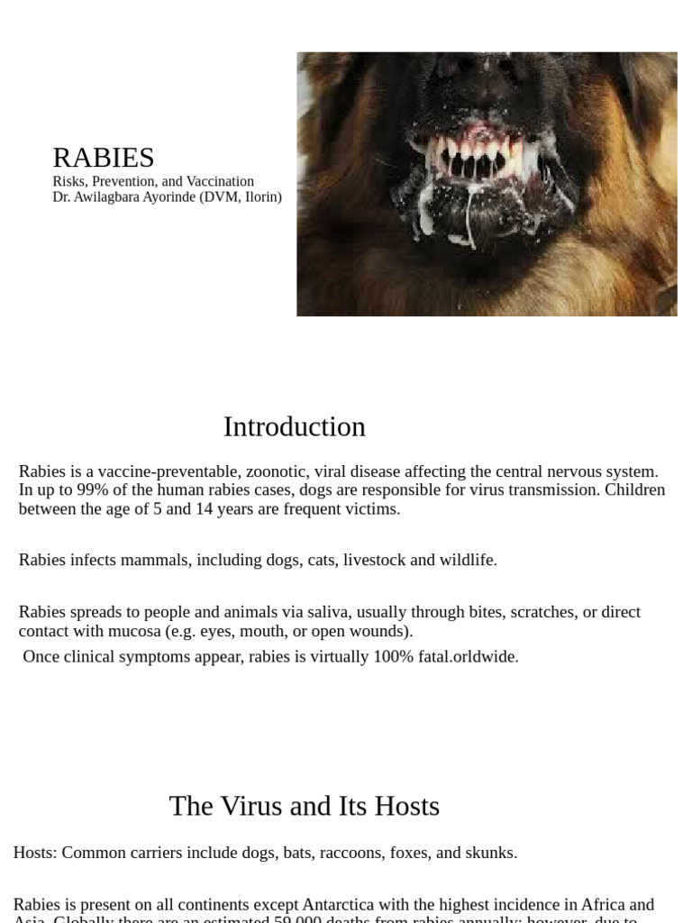 Rabies | PDF