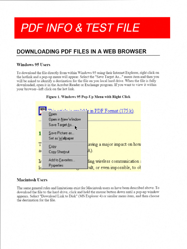 Example Scan Pdf