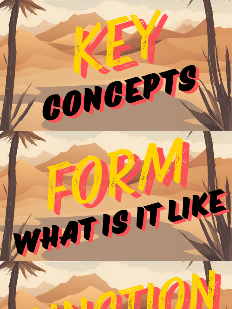 IB Key Concepts | PDF