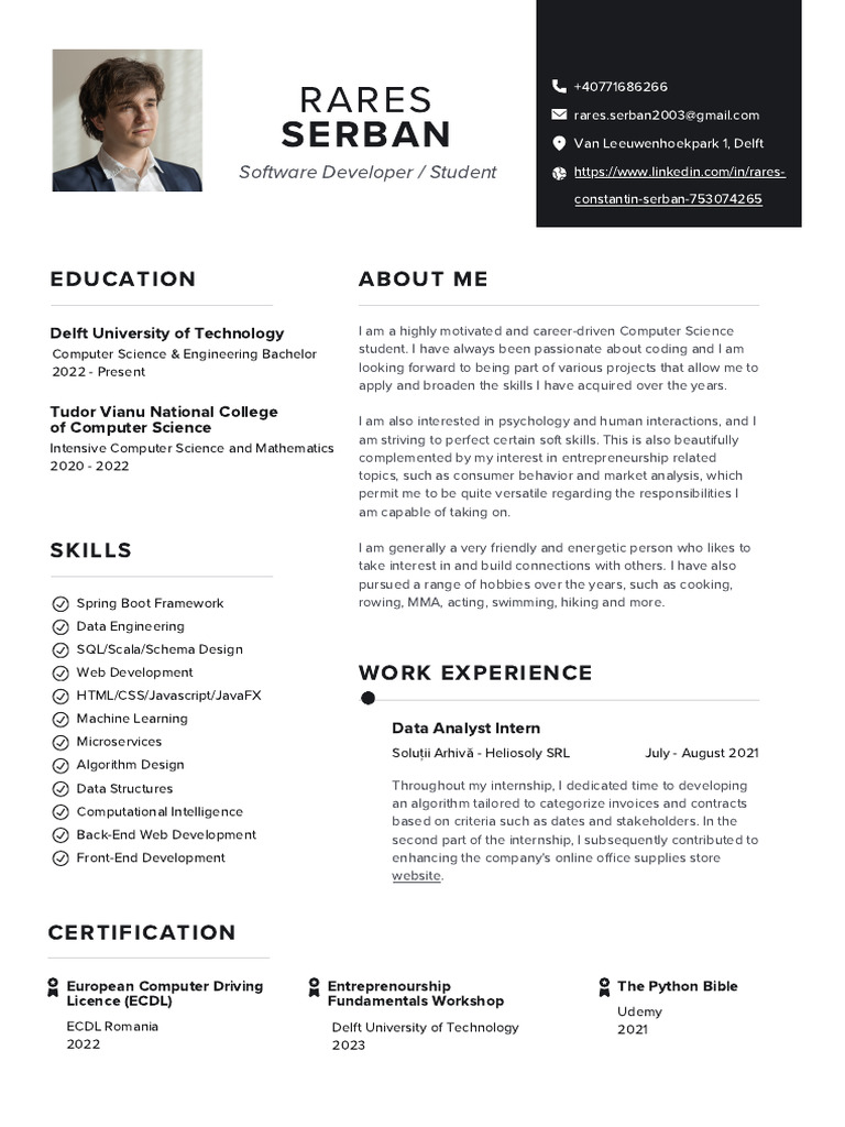 Rares Serban CV | PDF