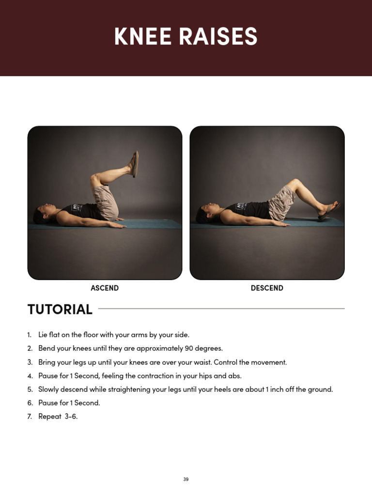 Hybrid Calis Leg Raises | PDF