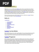 Download mencit by Avril Mut SN76276659 doc pdf