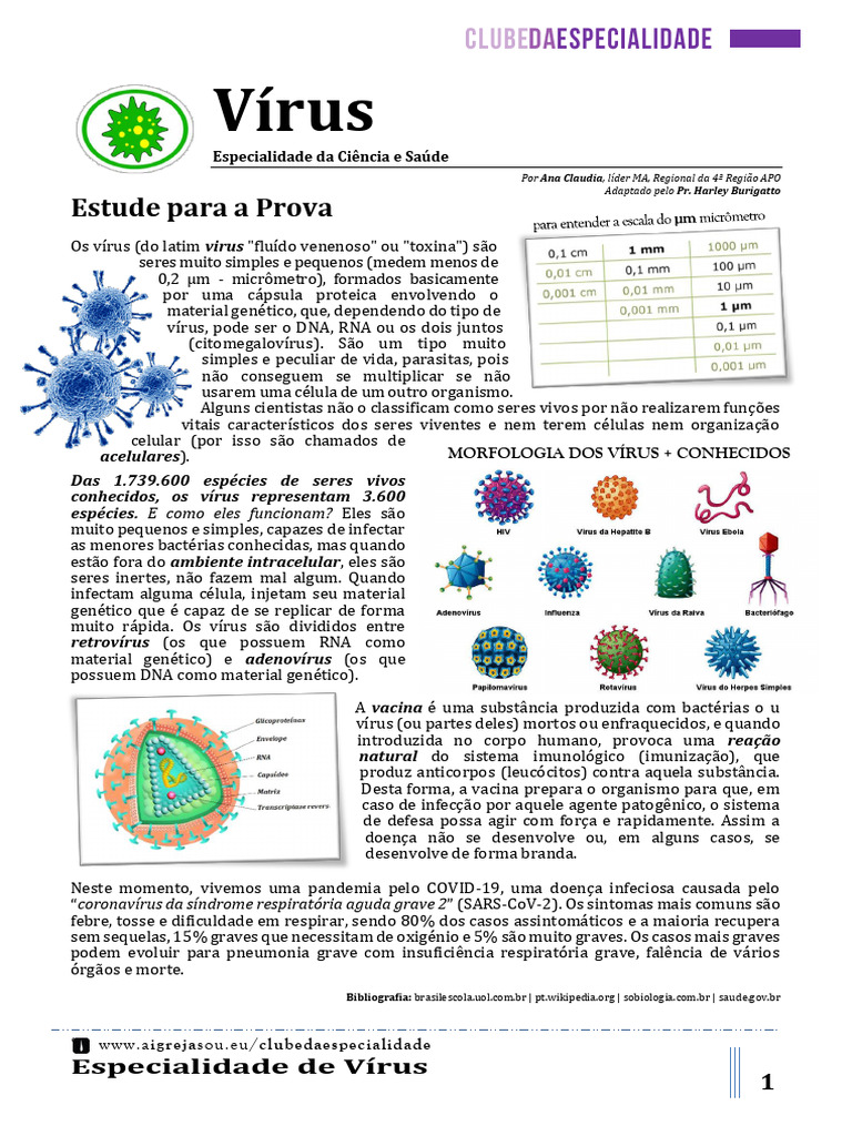 Virus (CS) | PDF
