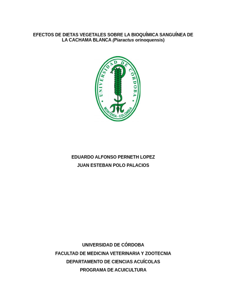DEBL Trabajo de Grado PYP | PDF