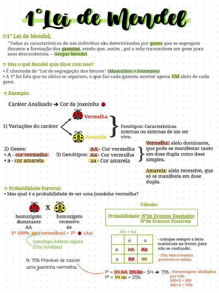1° Lei de Mendel - Resumo | PDF