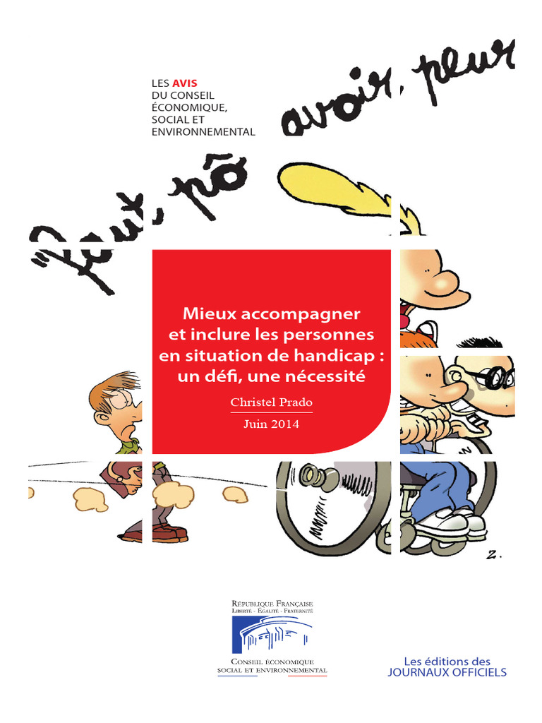 Mieux Accompagner Les Personnes en Situation de Handicap | PDF