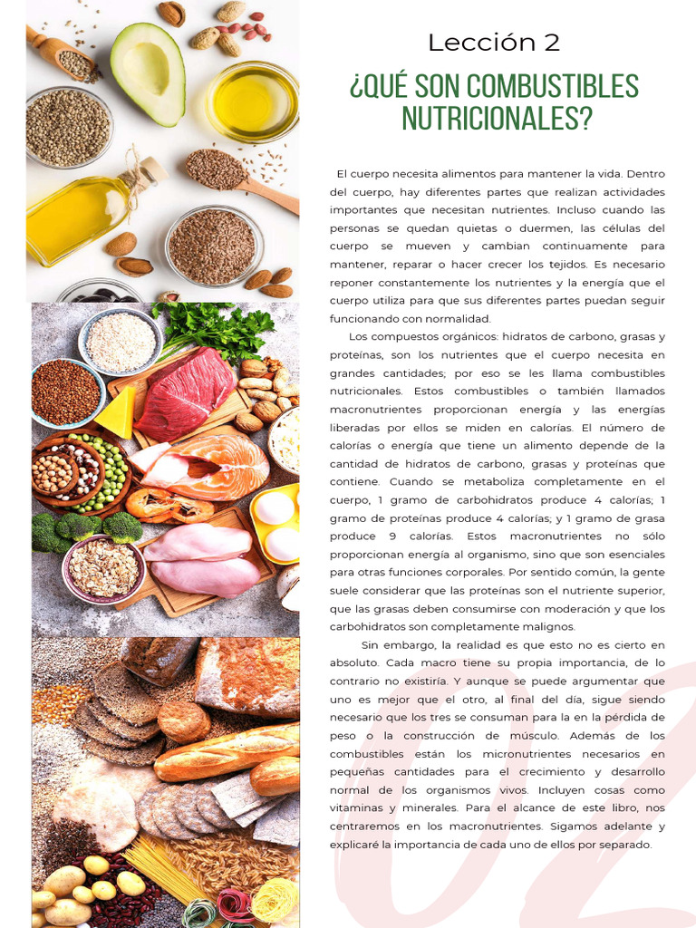 02 Leccion FLEXLIFE | PDF