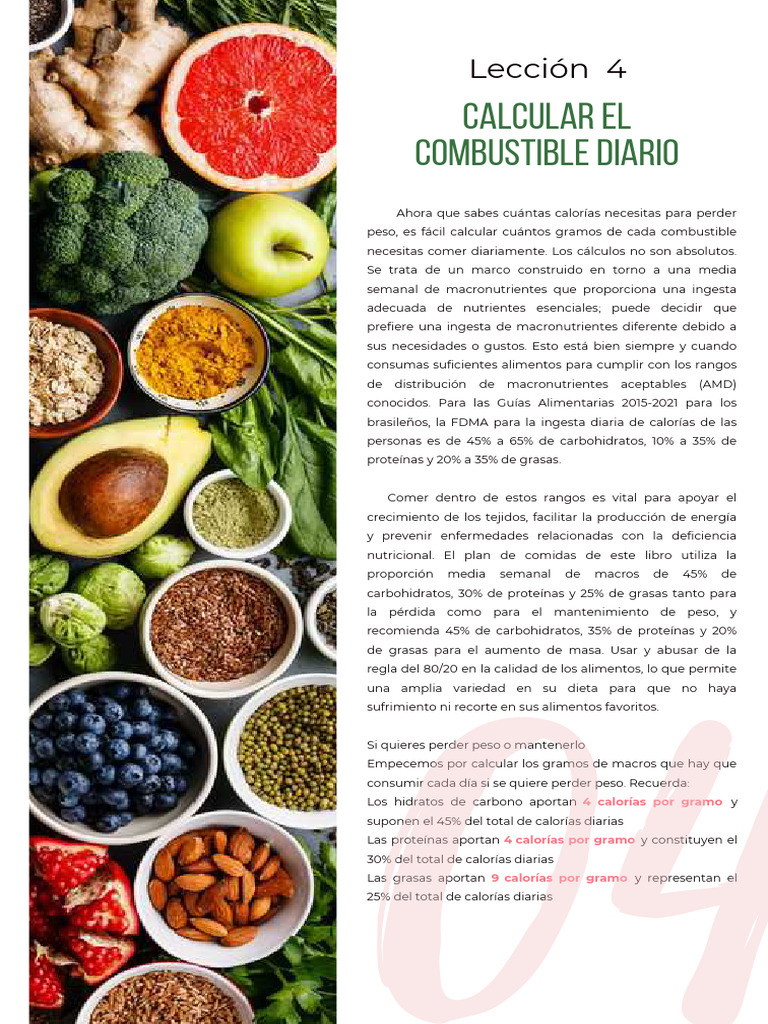04 Leccion FLEXLIFE | PDF
