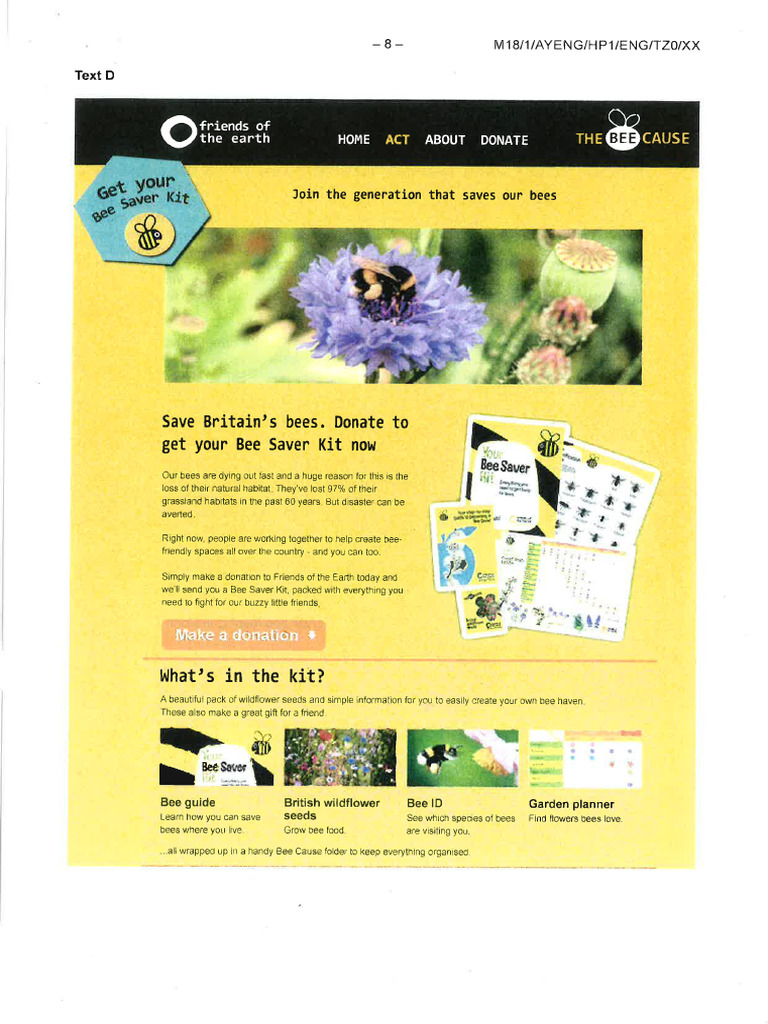 Bee Paper One | PDF