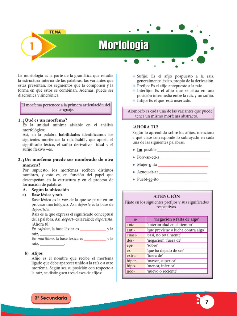 1.lenguaje 3ro Secund | PDF