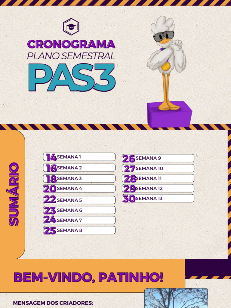 Cronograma Guia Do PAS 3 PDF