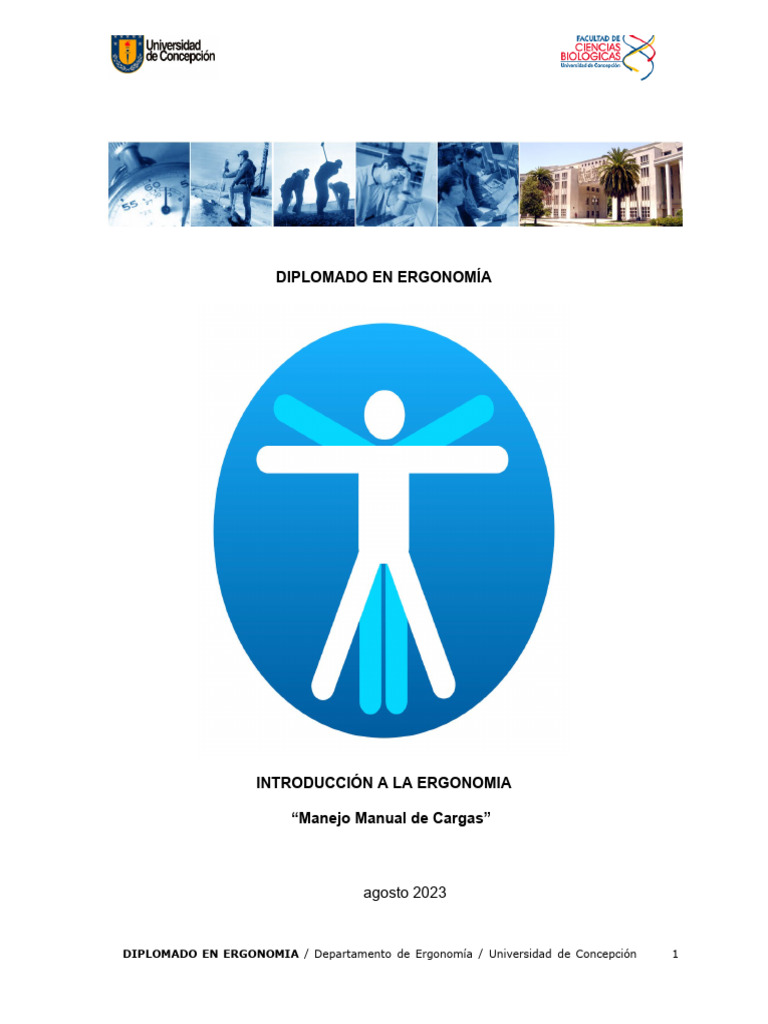 Diplomado en Ergonomía: Manejo de Cargas | PDF | Factores humanos y ...