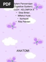 Download ANFIS Sistem Pencernaan by Eksa Bintari SN76296327 doc pdf