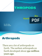 Arthropods: A Guide to Spiders, Insects, Centipedes and Other Jointed-Legged Animals
