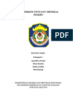 Download Makalah IGD Mineral Makro by yuyu_hunters SN76296956 doc pdf