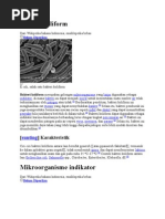 Download Bakteri koliform by Mariyana Yusrifah SN76297156 doc pdf