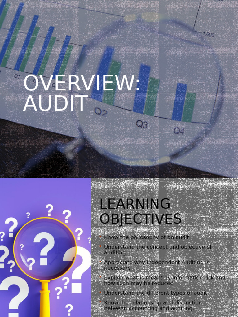 Module006 - Overview of Audit | PDF