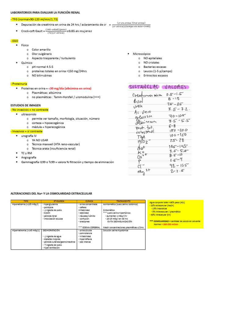 Guía Nefro I | PDF