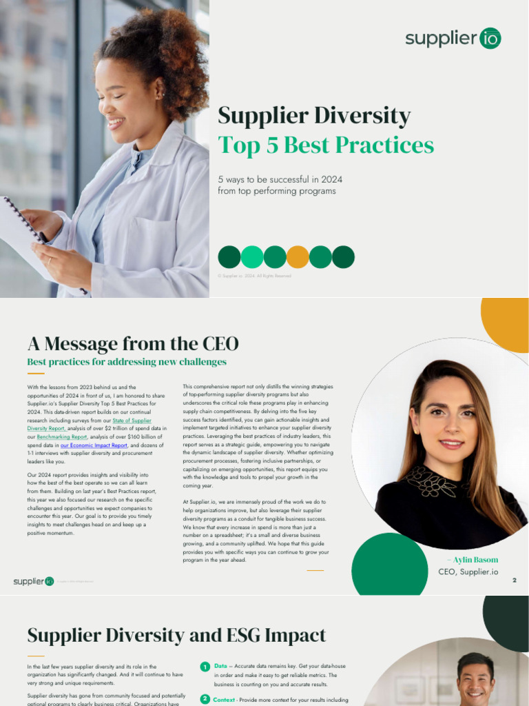 2024 Supplier Diversity Top 5 Best Practices Report | PDF