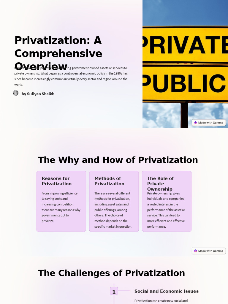Privatization A Comprehensive Overview | PDF | Privatization | Public ...
