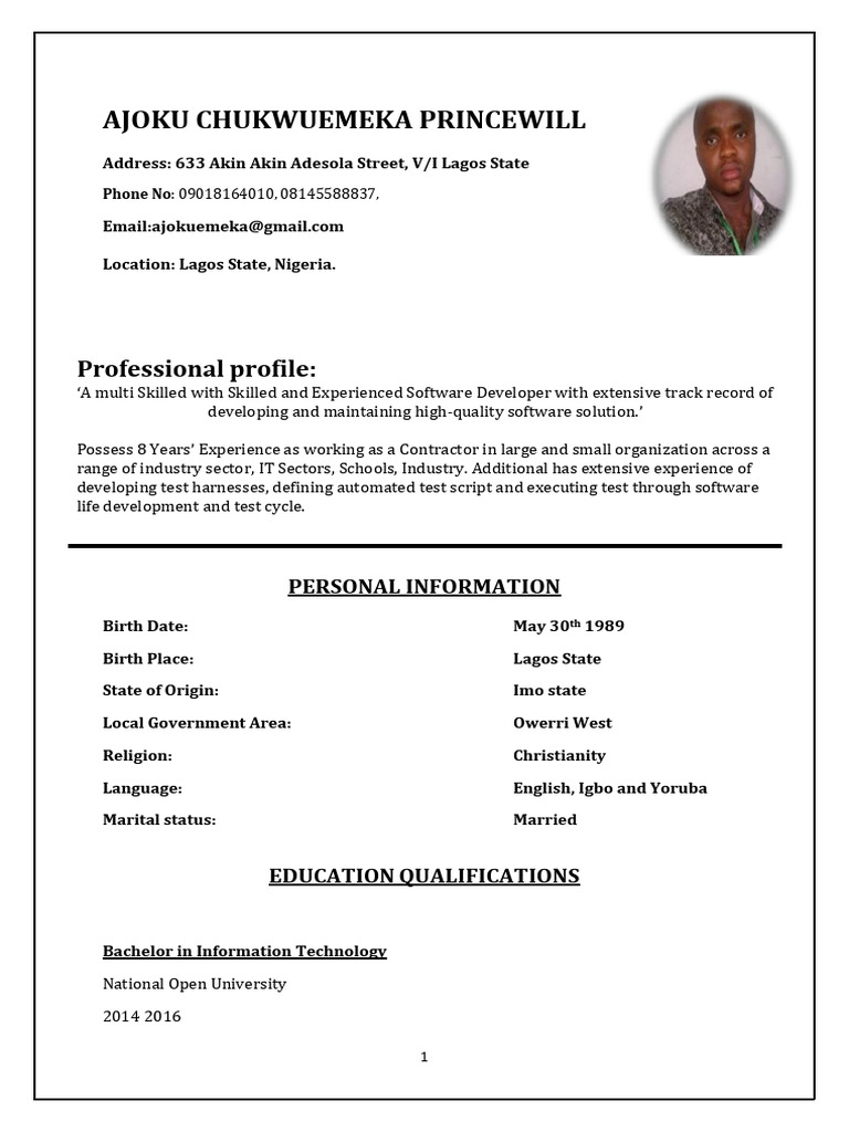 Experienced Software Developer Profile | PDF | Microsoft Windows ...