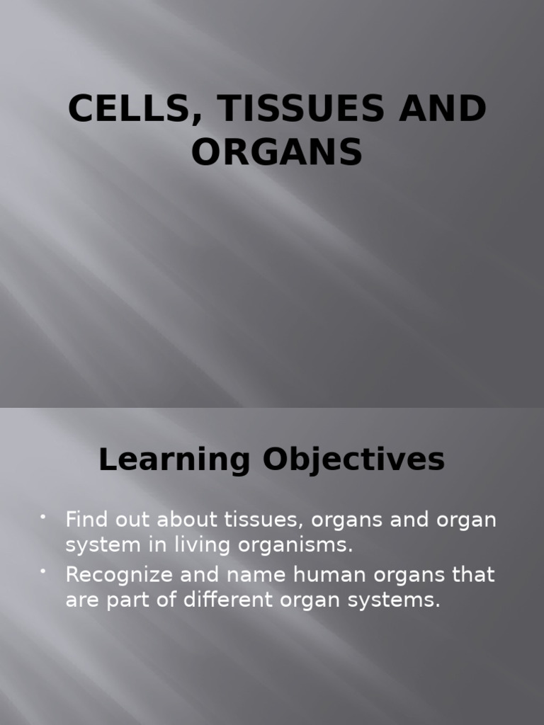 Cells, Tissues and Organ | PDF