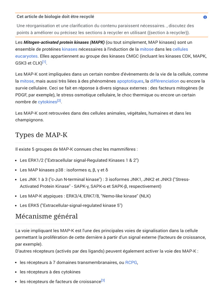MAP Kinases - Wikipédia | PDF