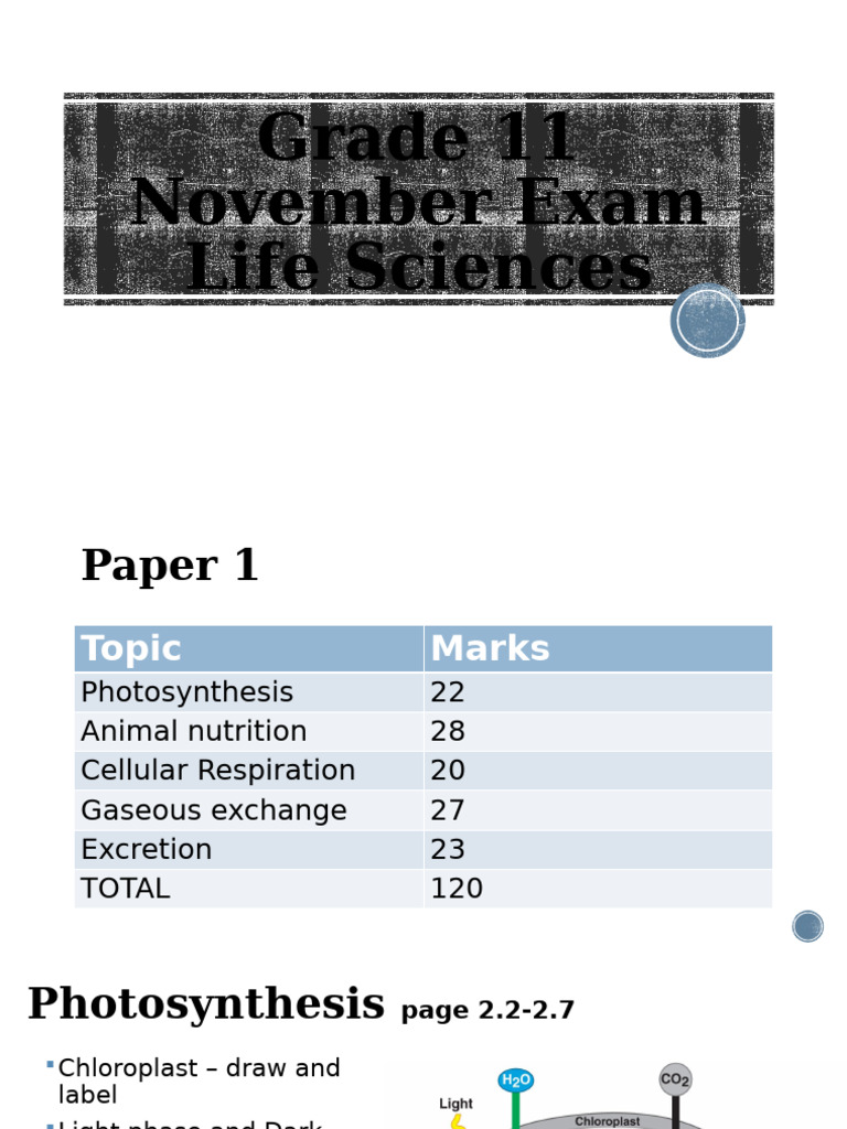 Grade 11 November Exam 2022 | PDF