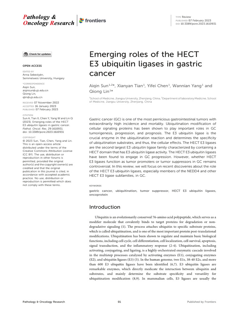 Emerging Roles of The HECT E3 Ubiquitin Ligases in Gastric Cancer | PDF
