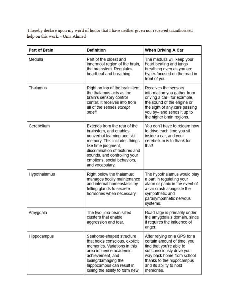 Psych Brain Assignment | PDF