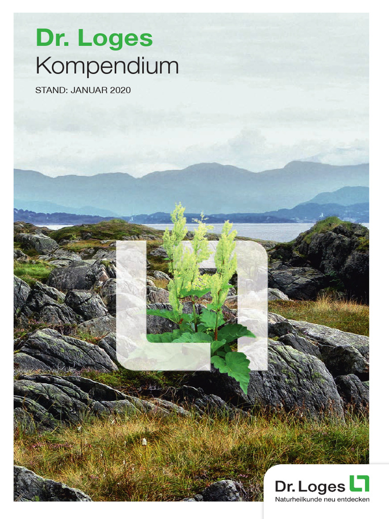 Kompendium | PDF