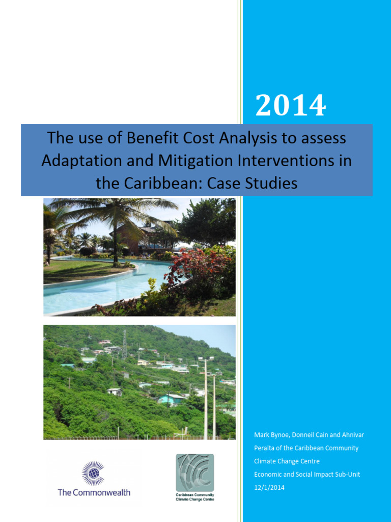 The Use of Benefit Cost Analysis to Assess Adaptation and Mitigation ...