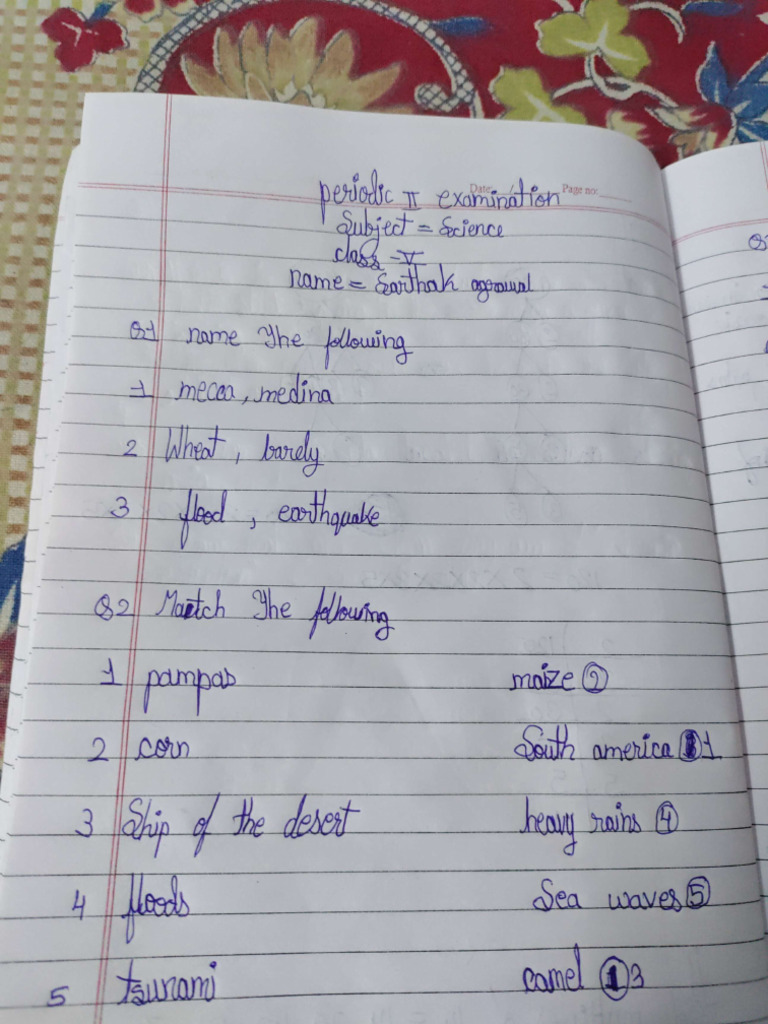 Sarthak | PDF