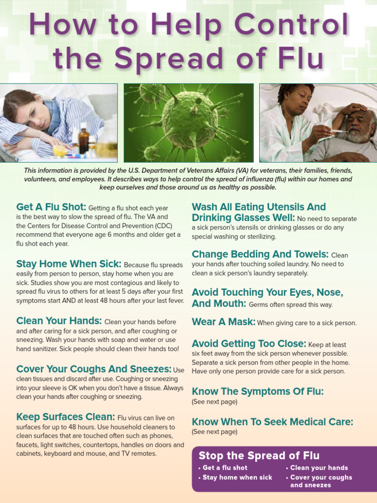 Fs8 Flu Factsheet Health Resource | PDF