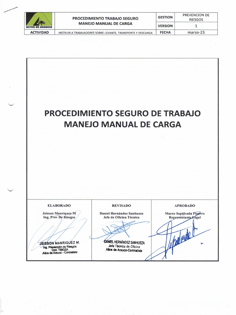 PTS Manejo Manual de Carga | PDF