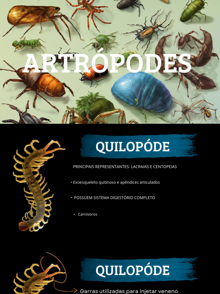 Artrópodes | PDF