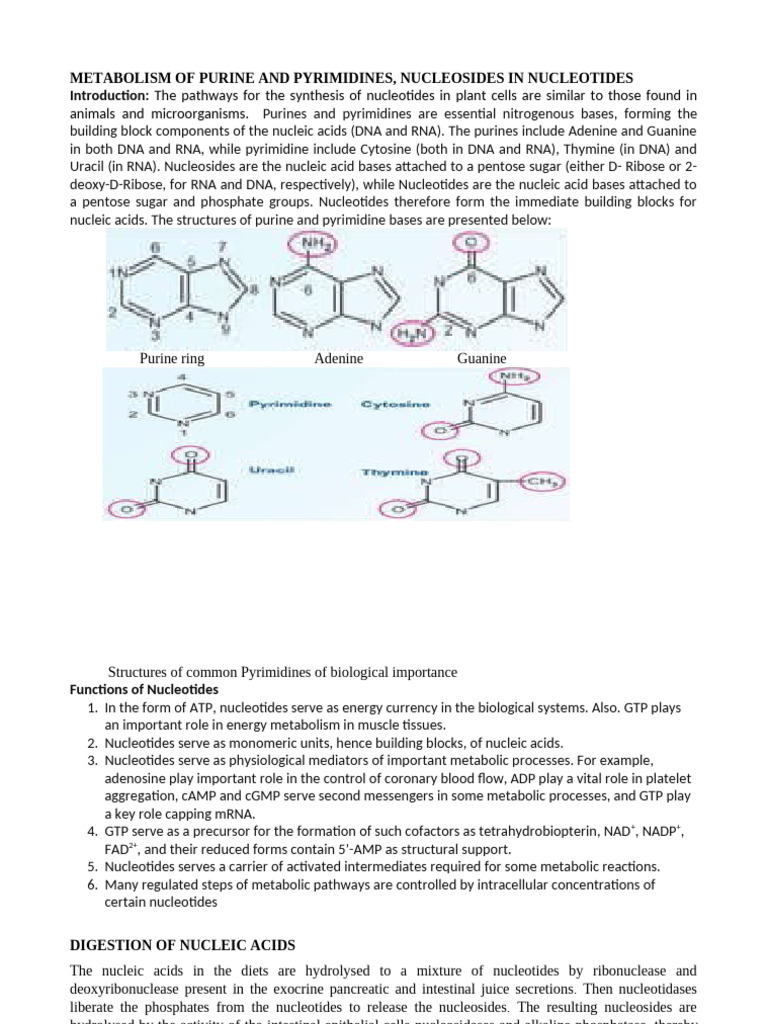 Purines and Pyrimidines 3 | PDF | Nucleotides | Biosynthesis