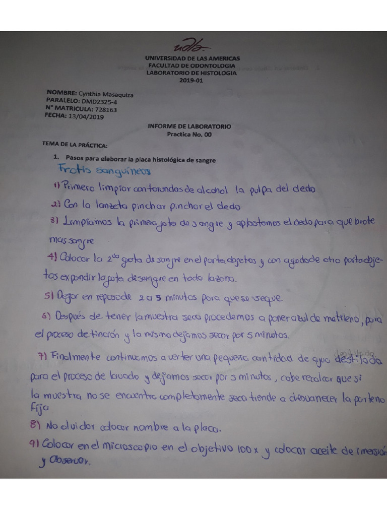 Informe 2 | PDF