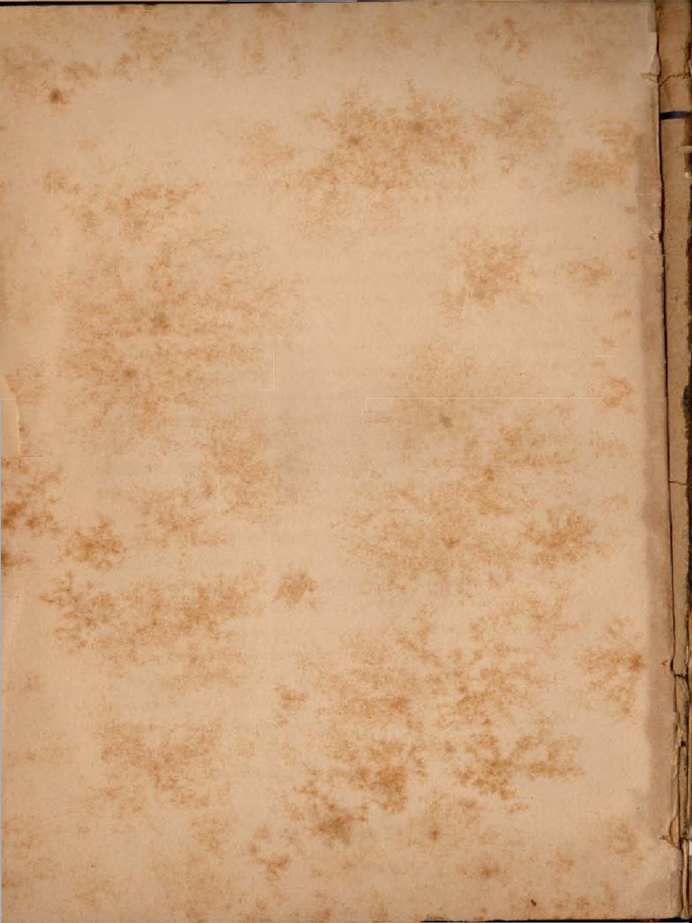 LACERDA, João Batista. O Congresso Universal Das Raças Reunido em