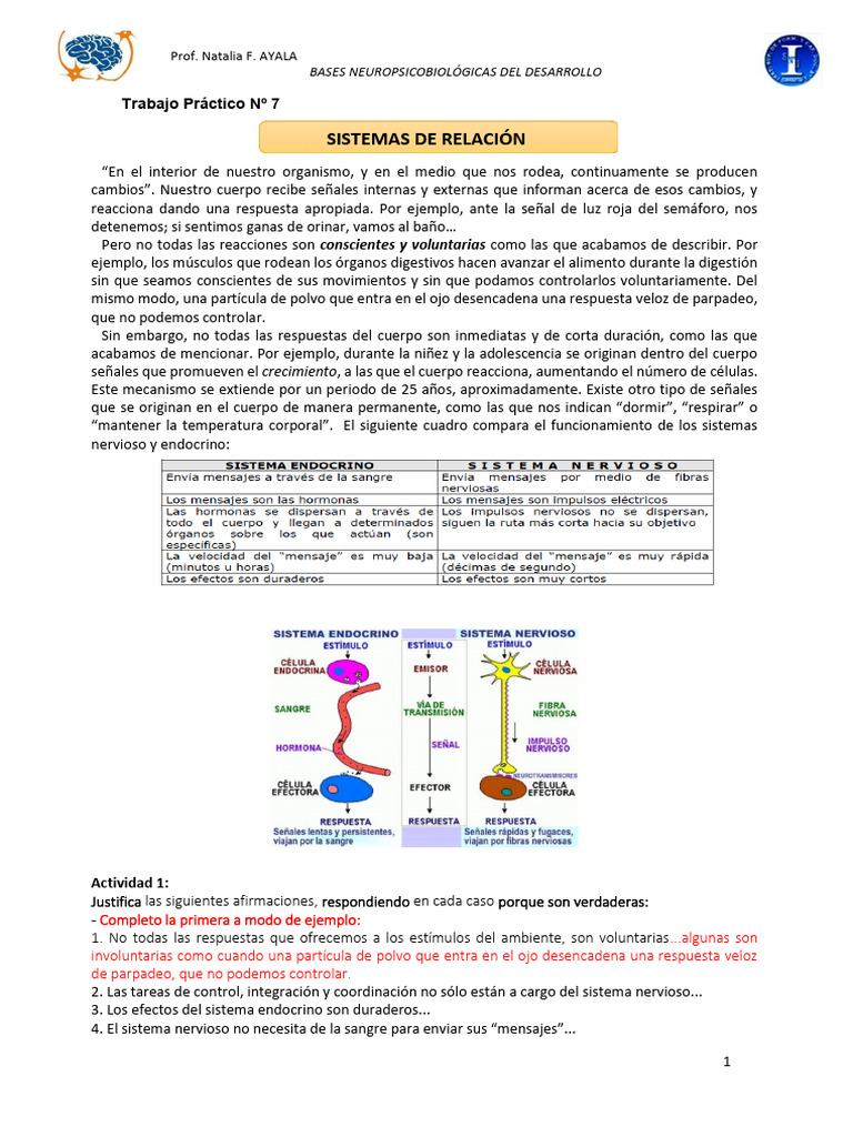 TP N7-Introduccion Al Sistema Nervioso | PDF