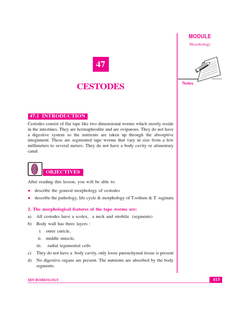 Lesson 47 | PDF