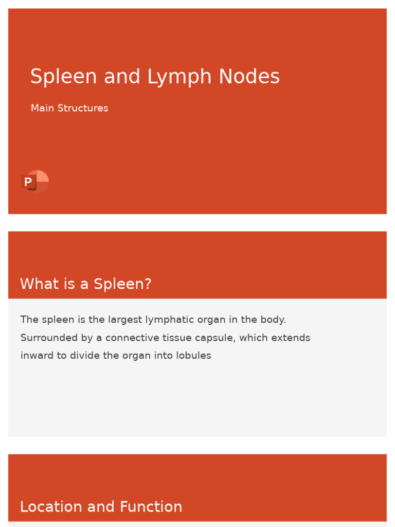 Spleen and Lymph Nodes Overview | PDF