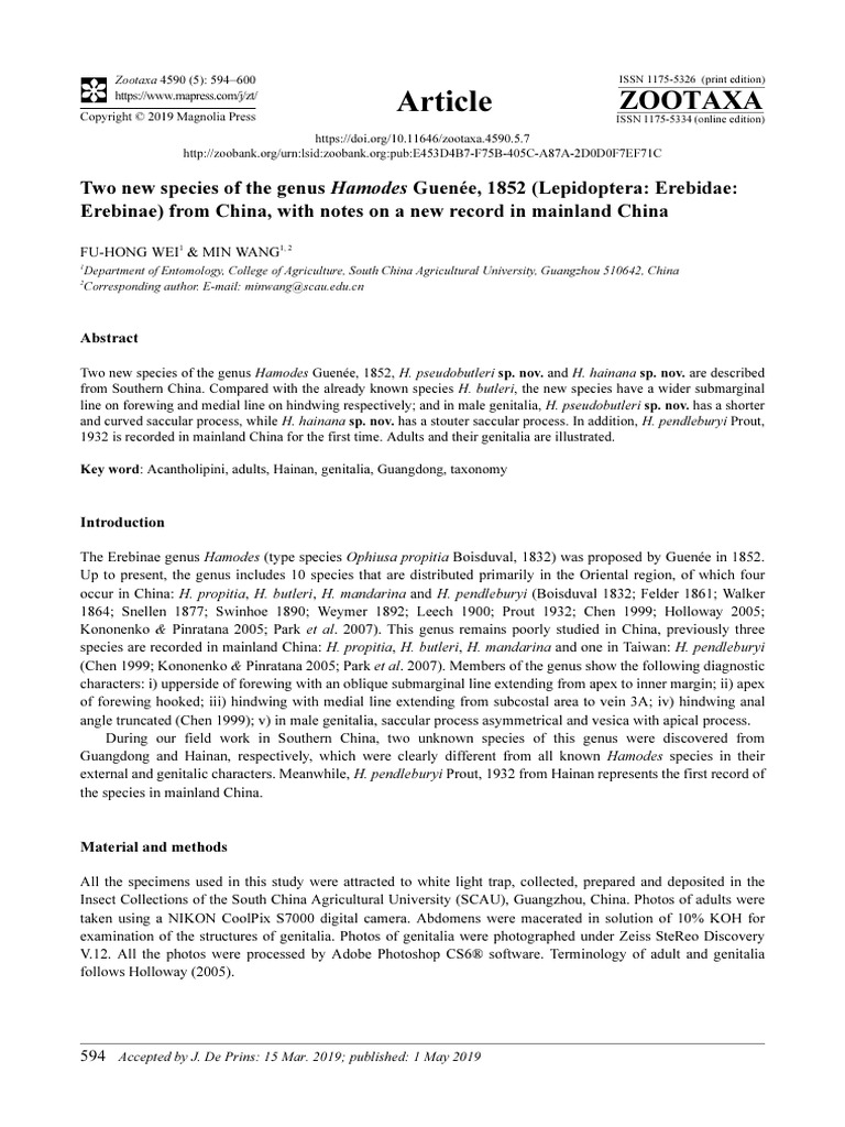We and Wang 2019. Two New Species of The Genus Hamodes | PDF