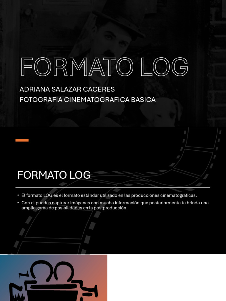 Formato Log-Raw | PDF