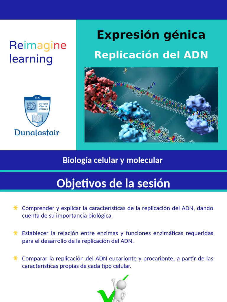 3 - Presentación Replicación Del ADN | PDF | Replicación De Adn | Artes ...
