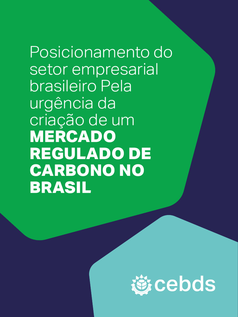 CEBDS 2024 Mercado Carbono | PDF