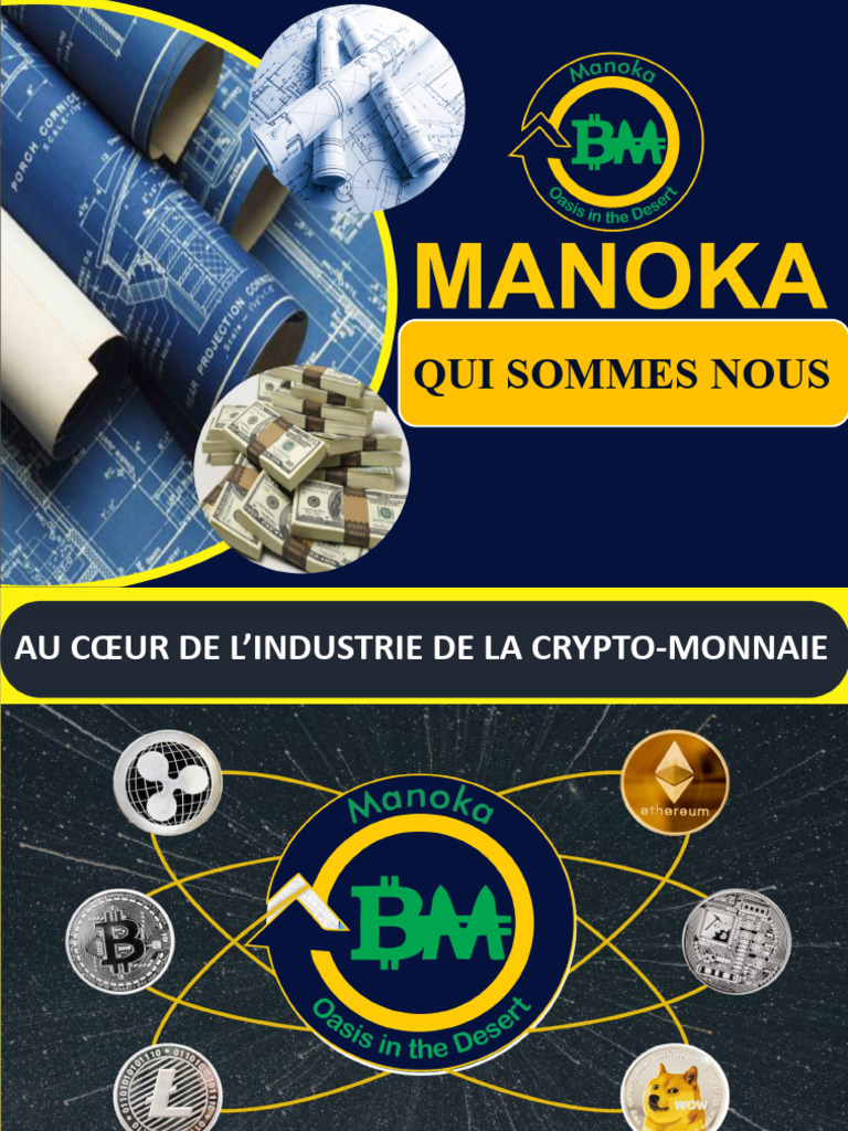 Manoka Island : Académie Crypto Panafricaine | PDF | Crytomonnaies |  Économie