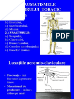 Traumatismele Membrului Toracic