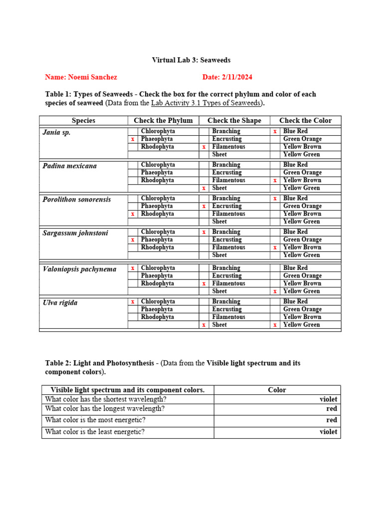 Noemi Sanchez Lab Worksheet 2pdf PDF